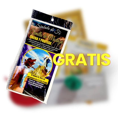 Kit de dados de loteria + sementes de mostarda grátis